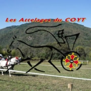 Les Attelages du COYT – Concours d’Attelage de Garrabet