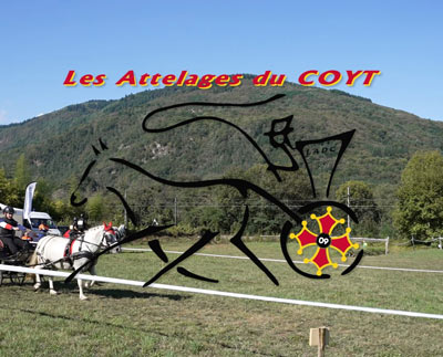 Les Attelages du COYT – Concours d’Attelage de Garrabet